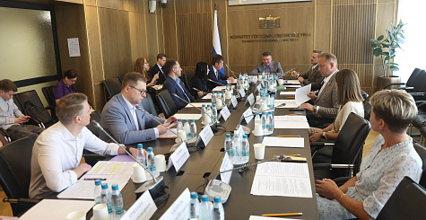 Президент ФТСАРР Надежда Ерастова приняла участие в заседании рабочей группы при Комитете Государственной Думы по физической культуре и спорту 